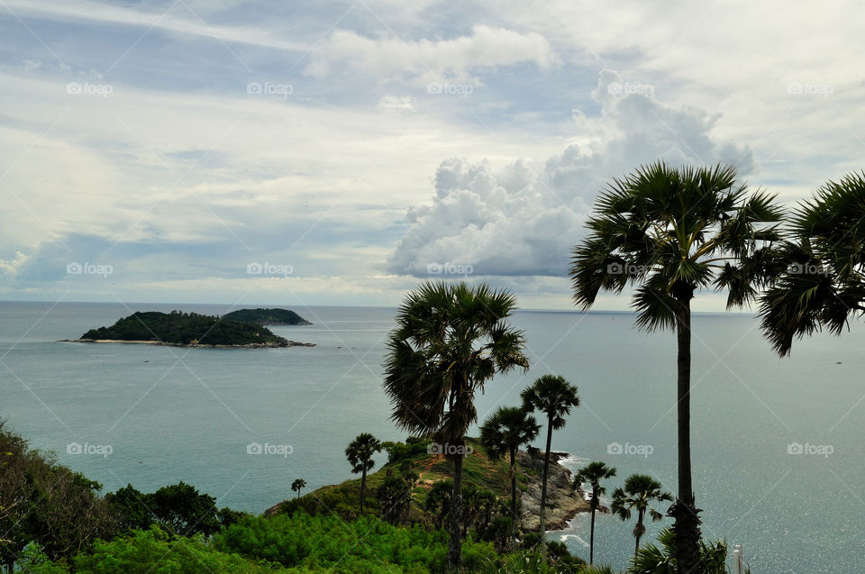 Sea far into the tropics