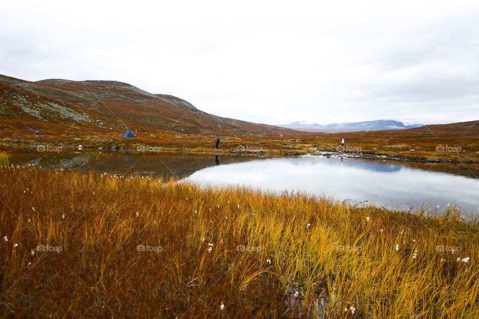 Scenic view of nature in autumn