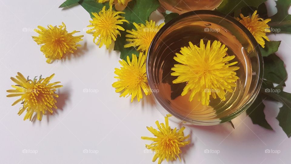 Directly above shot of tea with dandelion