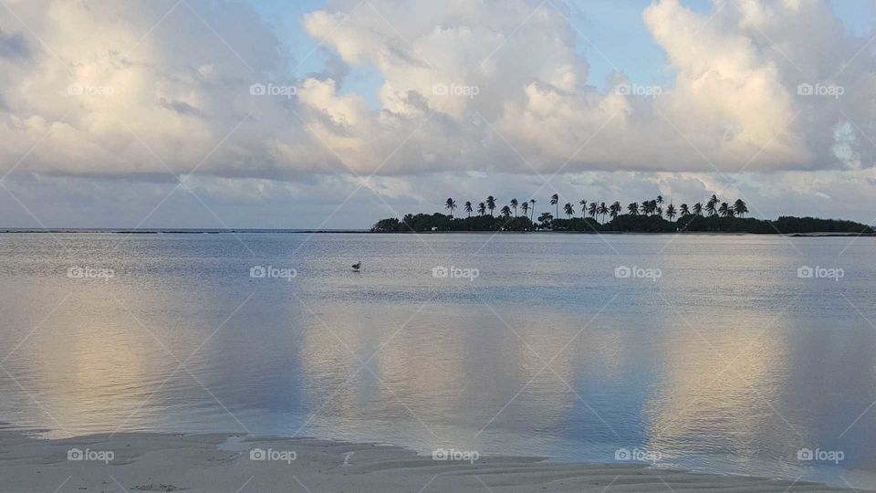 sunrise and tranquillity