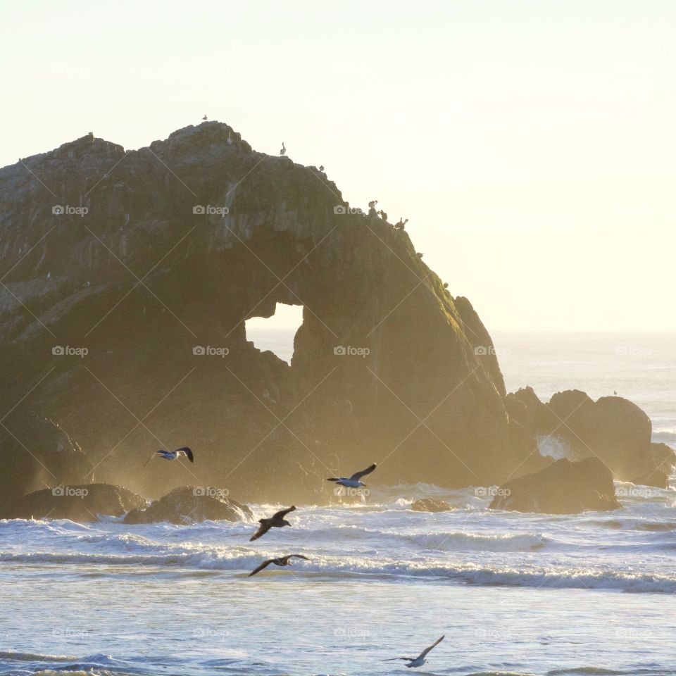 Seal Rock in San Francisco 