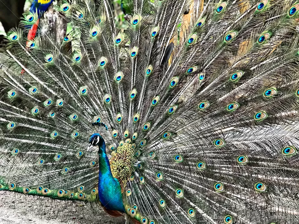 💙