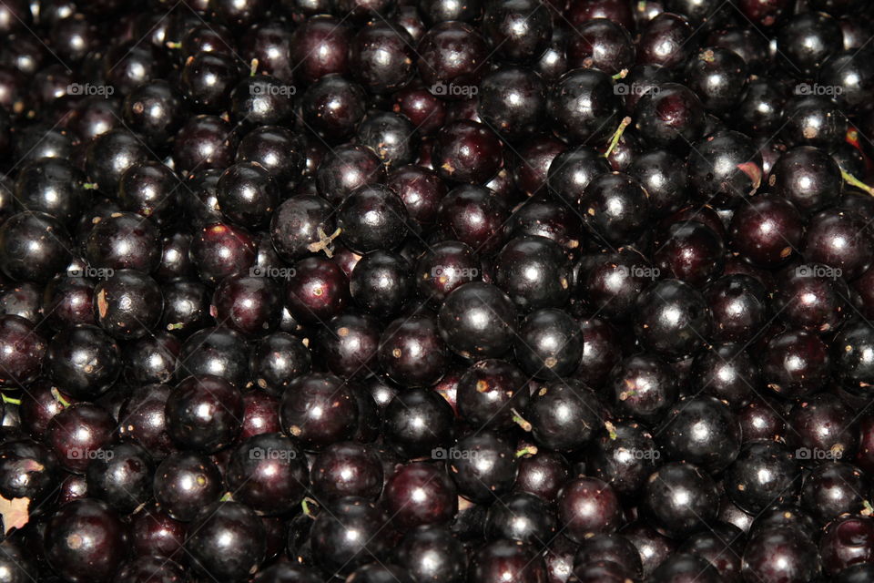 jabuticaba