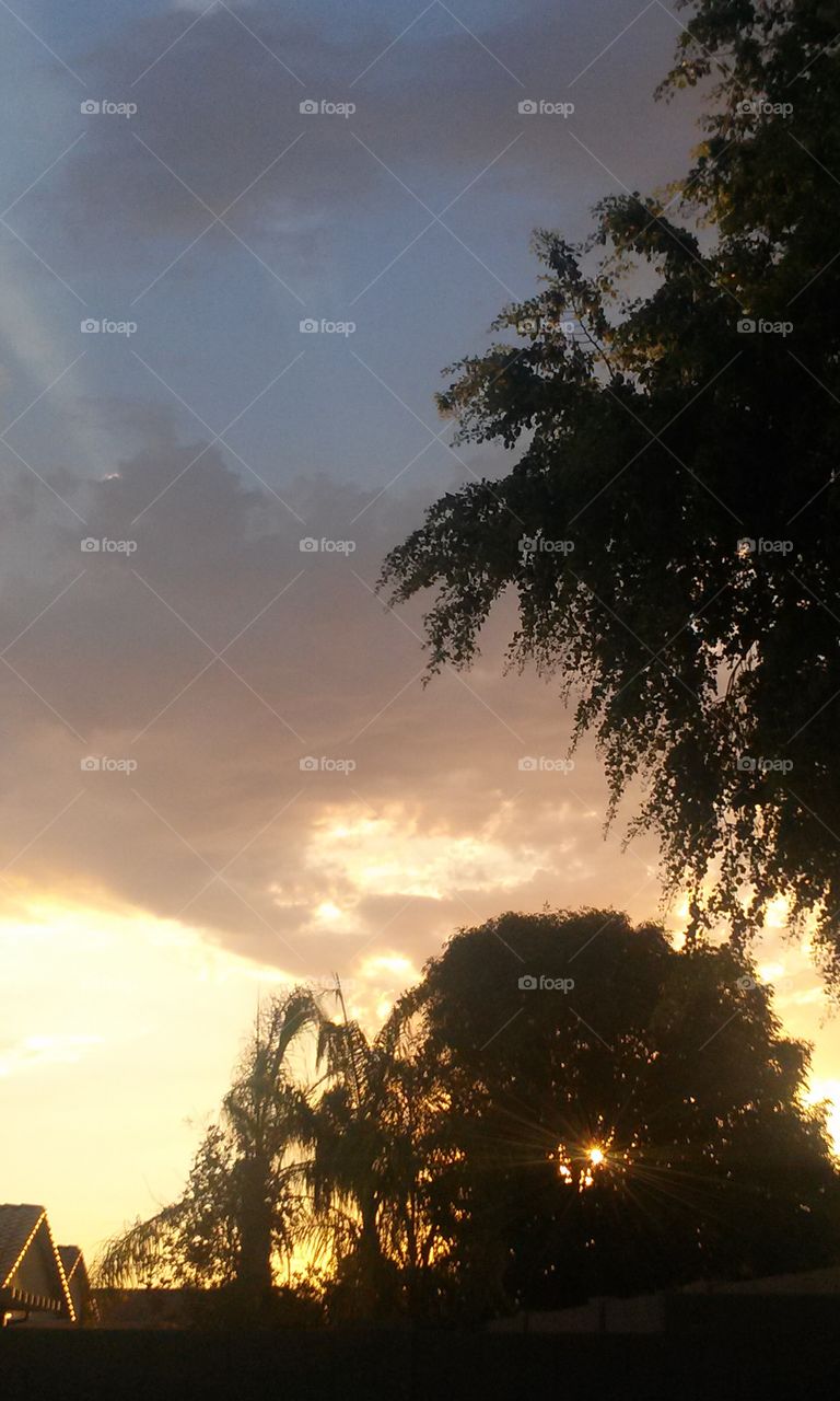 Trees have been blowing 
In winds , the Sun has been 
Glowing through them.
The birds  chirp and sing 
And rely on the trees 
For all , their living needs.
While the sun and wind
Glow and blow , upon
The tall trees that are
Truly respected , by nature
And me, because , I live
In  Arizona , and, i am
Talking " Desert" 
Where a  Tree, is very 
Much , " Respected" .  ;0)