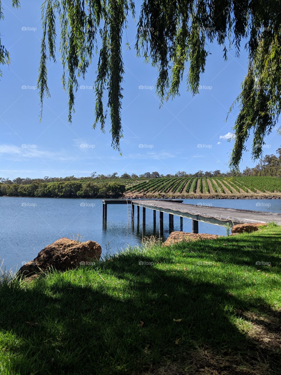 beautiful day at this vineyard in Australia