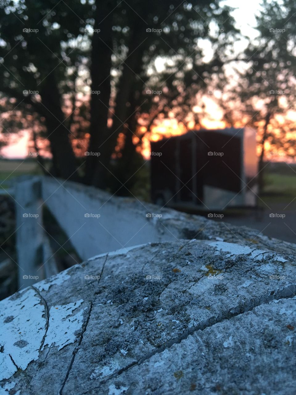 A clear shot of a decaying white picket fence. Fence has tiny specks of moss and fungi. In the background is some luscious green trees and a detached hauling trailer. You can also see yellow/pink hues in the sky from the setting sun.