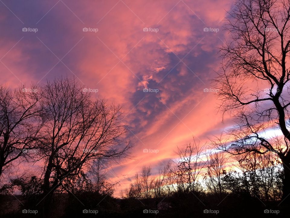 Virginia Sunset