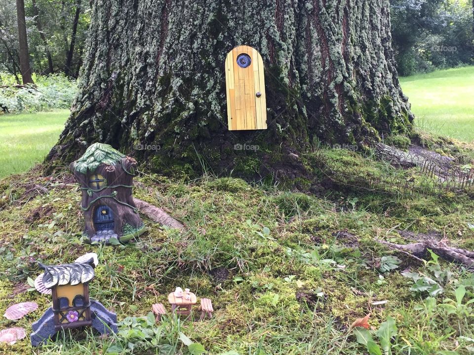 Waiting for the fairies 