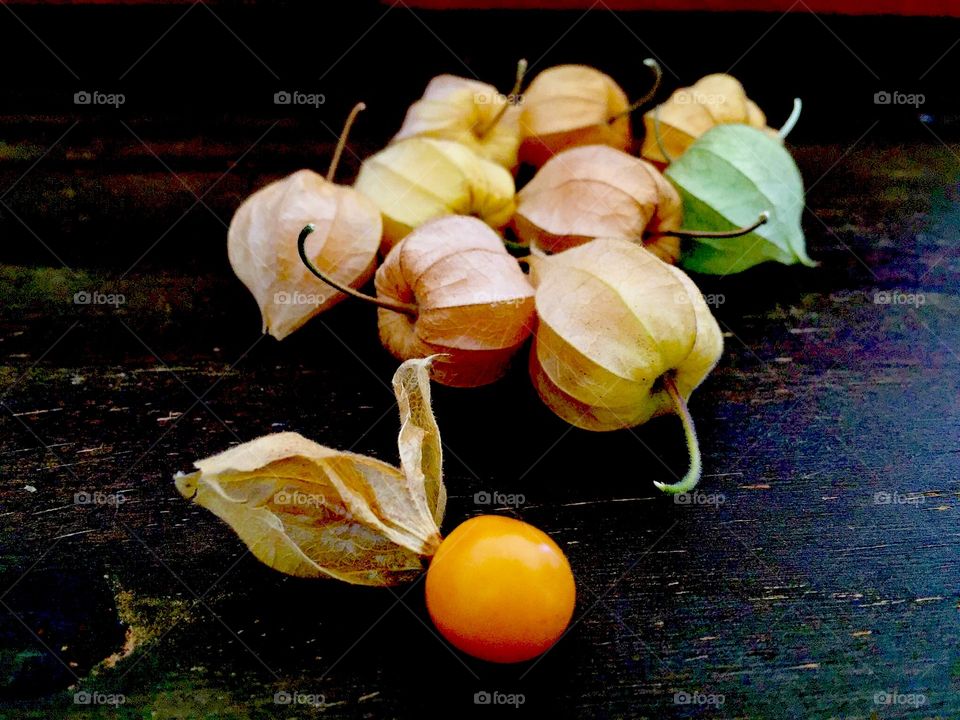 Cape gooseberry