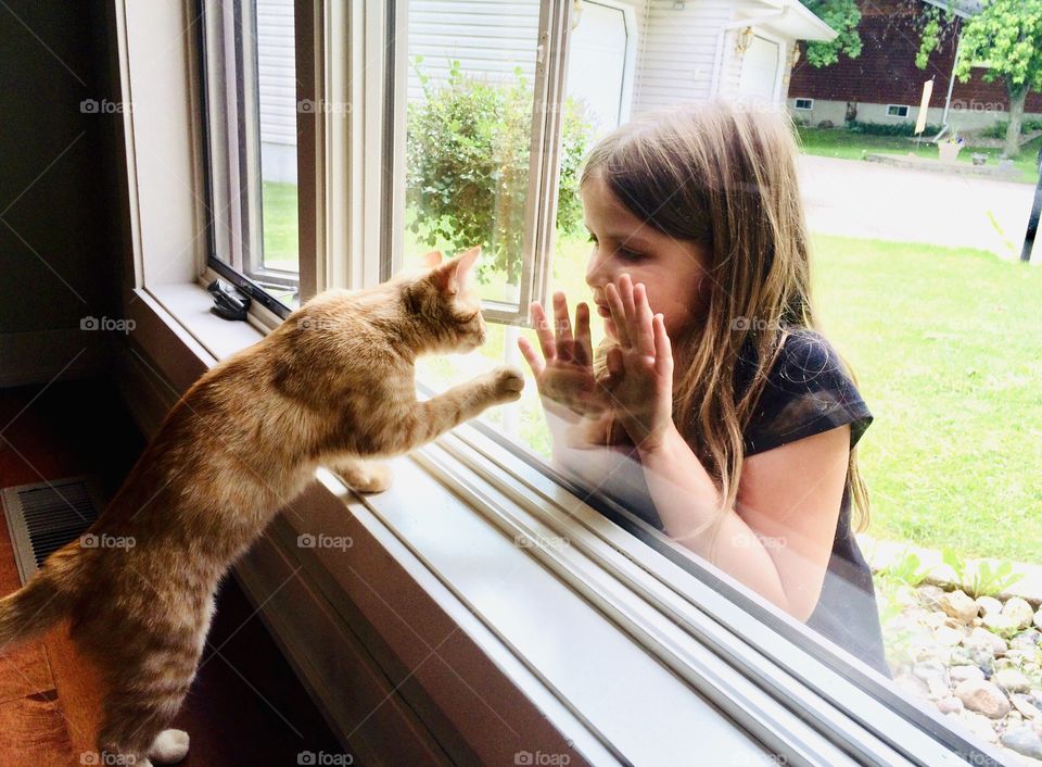 Sweet silly orange tabby cat putting paw up to window of girl’s hands reaching for him. 