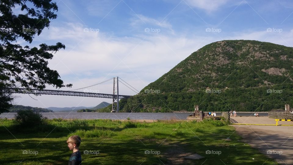 Landscape, Water, Tree, Bridge, Travel