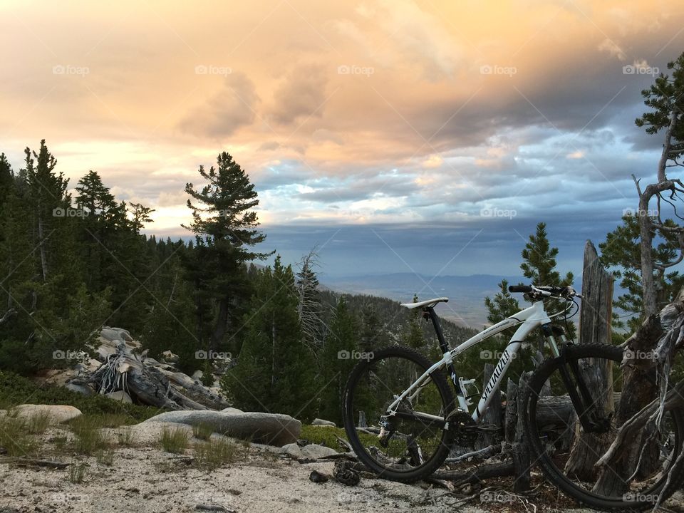 Mountain bike, Tahoe 