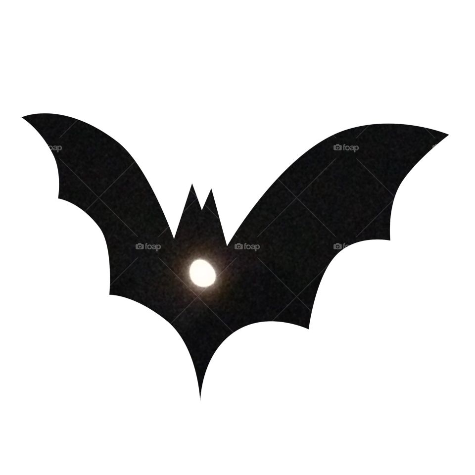 bat news