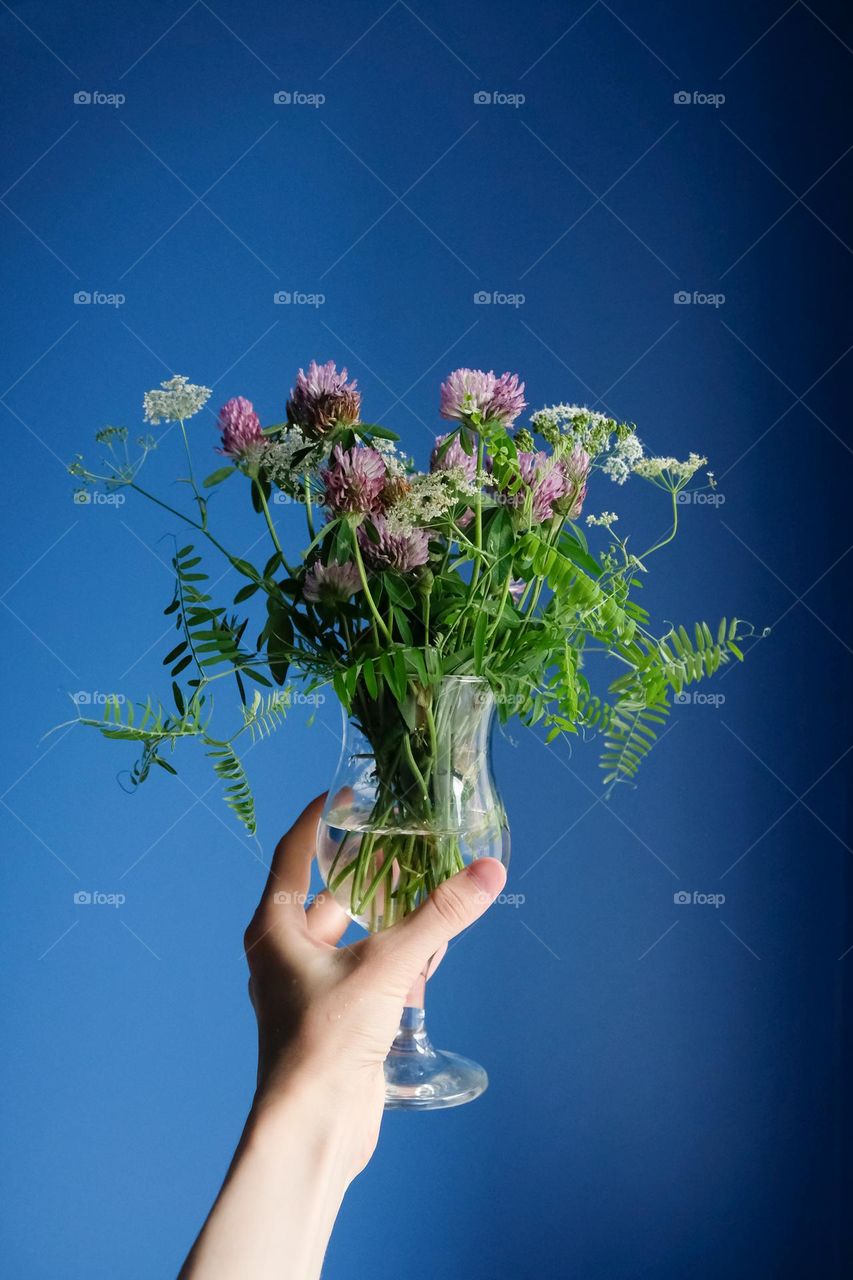 A hand holds a bouquet of clover and wildflowers in a glass on a blue background
