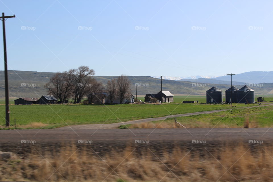 roadside farm