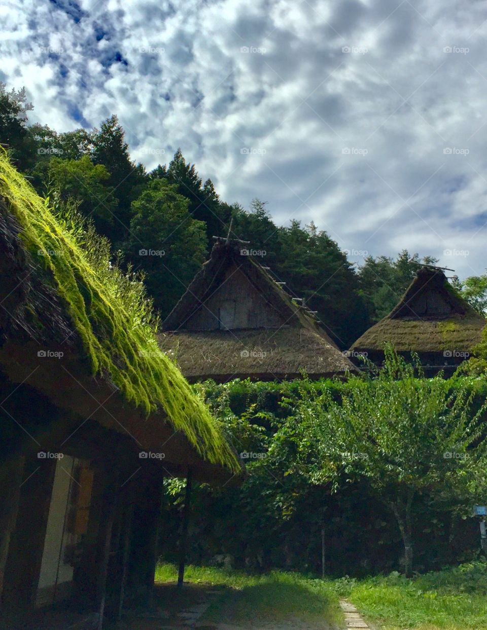 old Japanese  country houses 