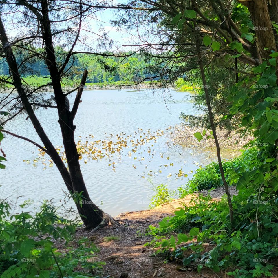 The serenity of nature