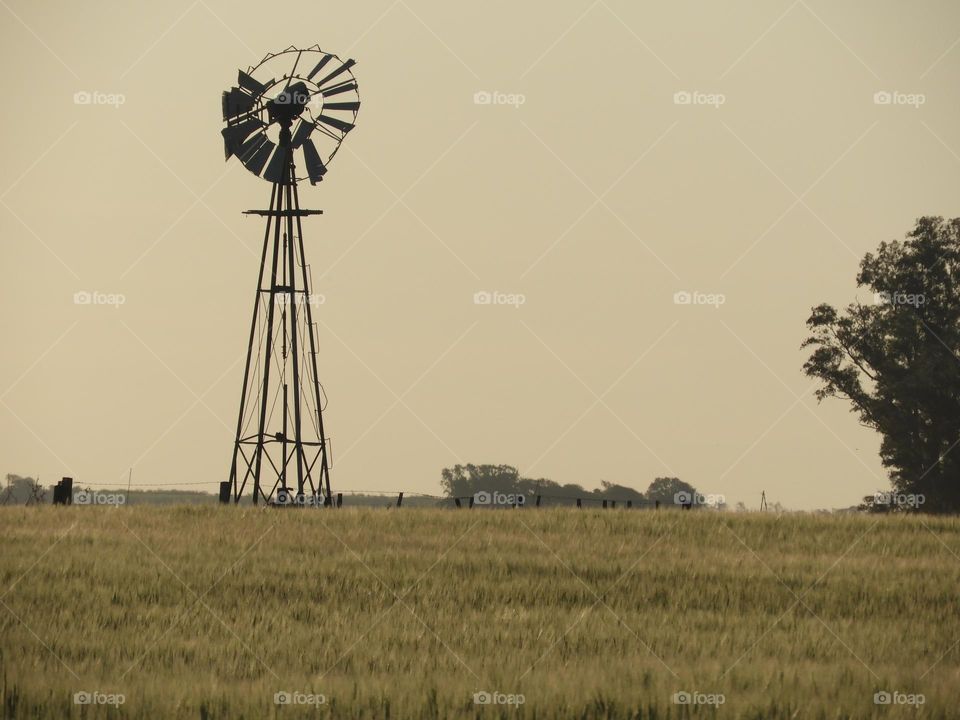 Campo Molino de viento Naturaleza Cosecha Trabajo