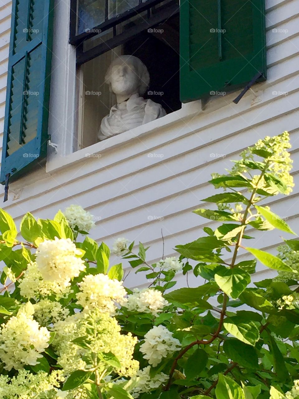 Wise window of P-town