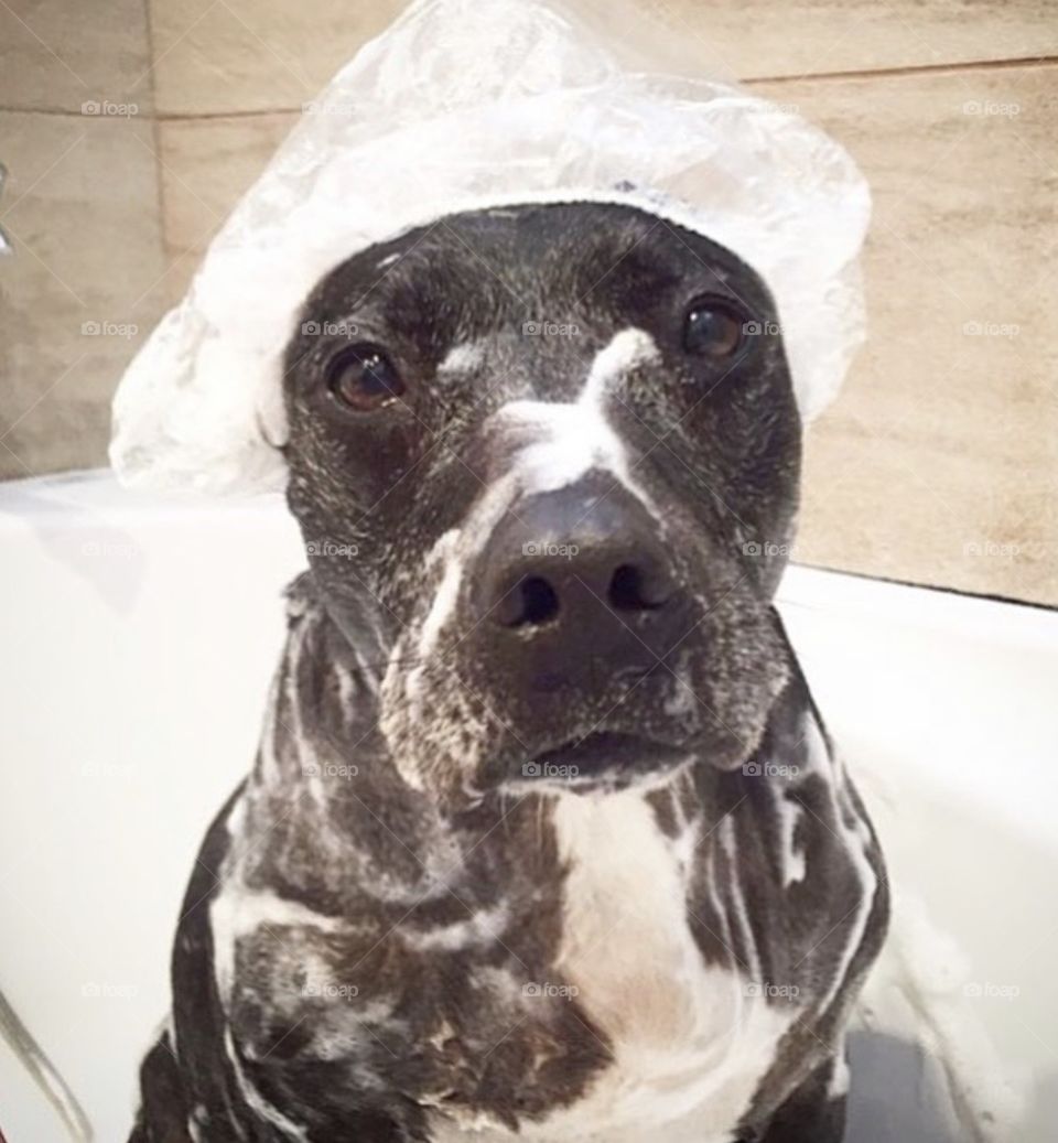 I’m ready to take a bath!
