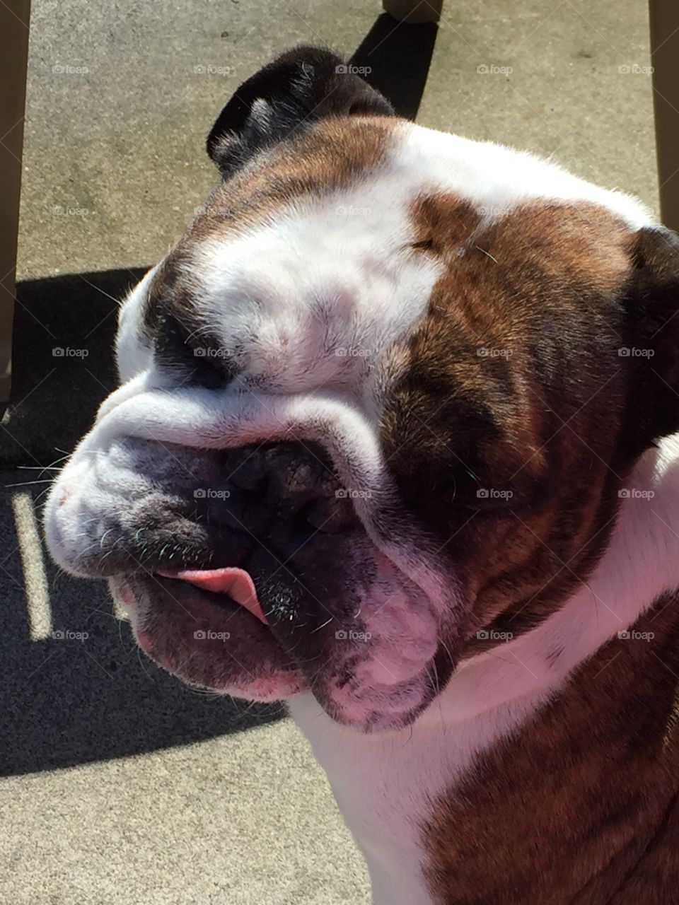 I'm not going to do it