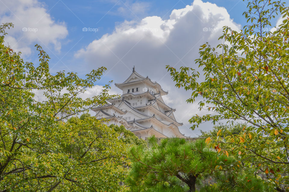 Himeji Castle Japan Behind Trees