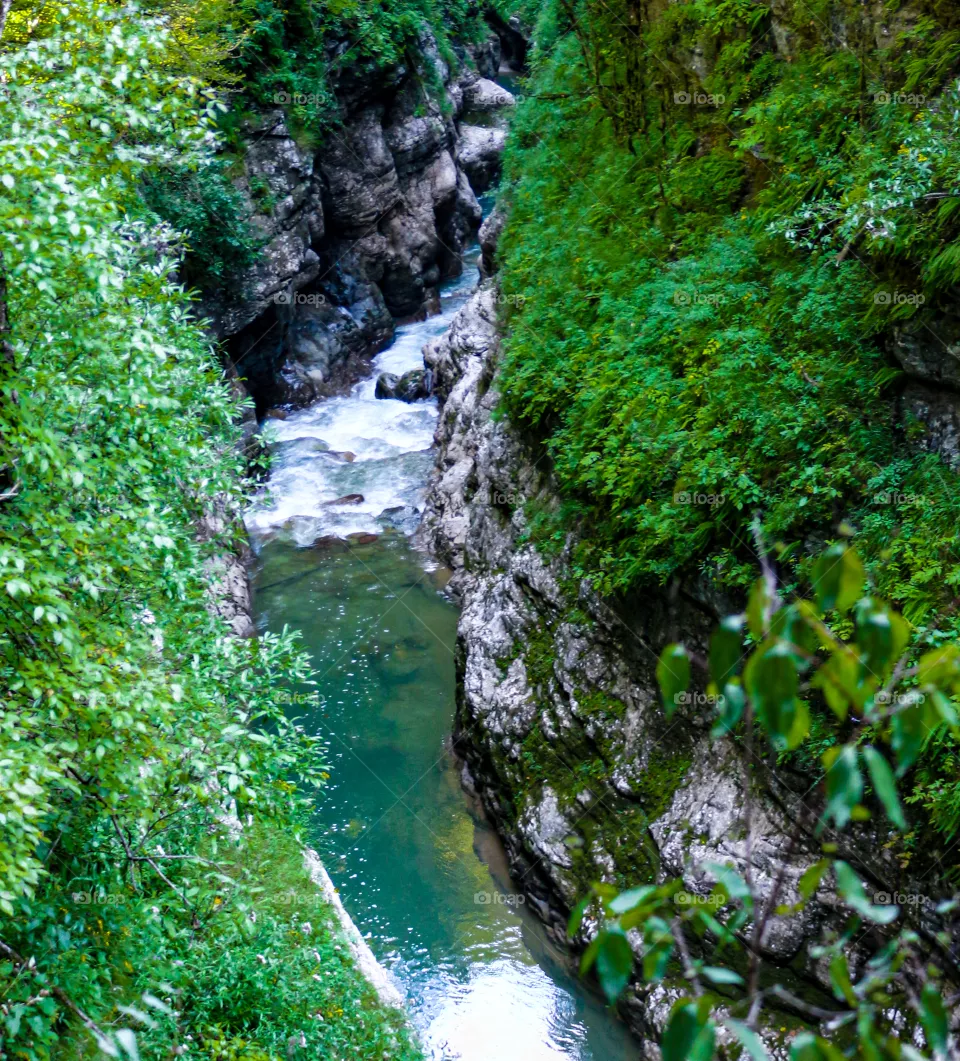 Nature