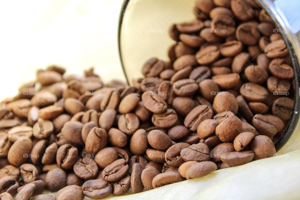 coffee beans