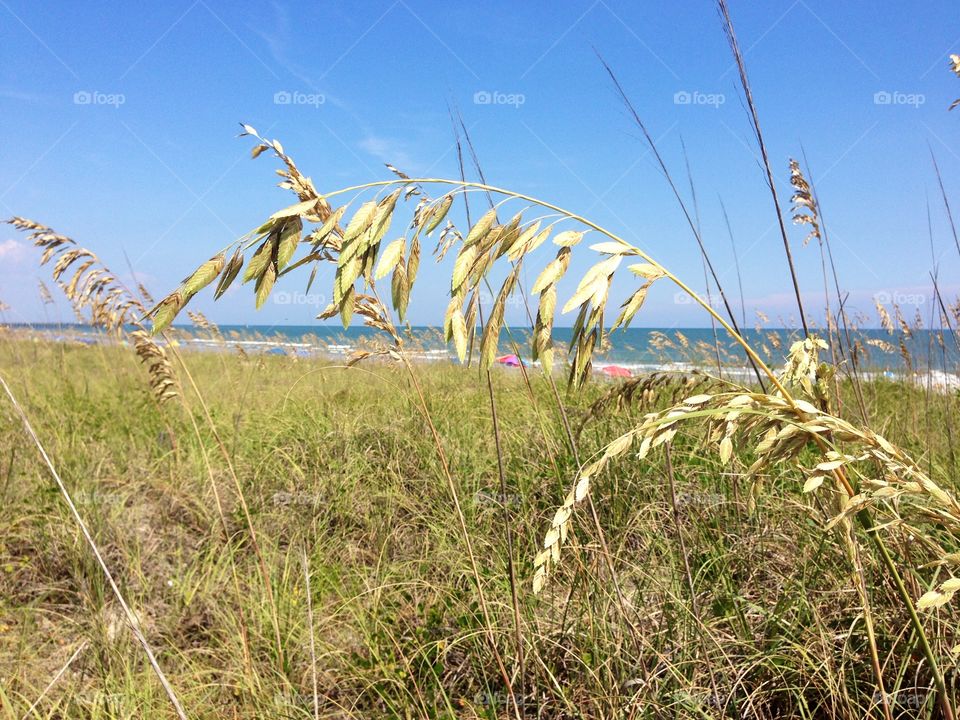 A beautiful day in Myrtle Beach South Carolina. 