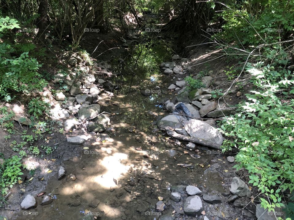 Creek 