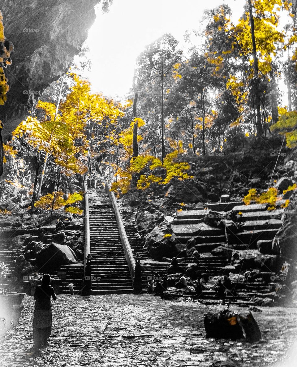 More and more Vietnam