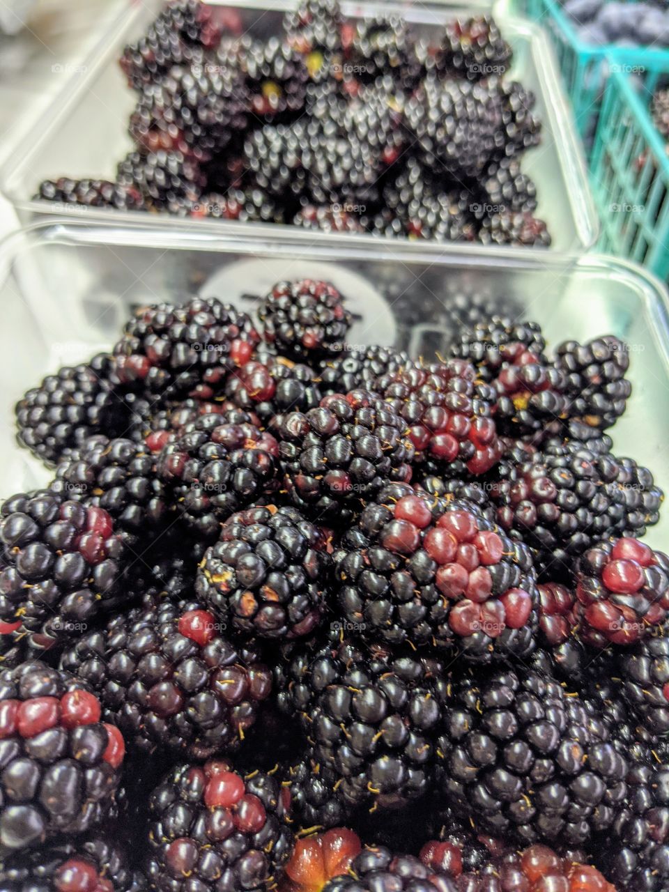 blackberries
