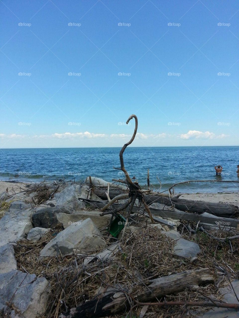 Driftwood Crane at the beach
