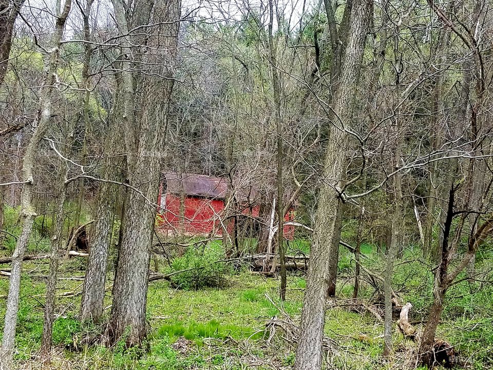 Driving the back Roads and enjoying everything around us