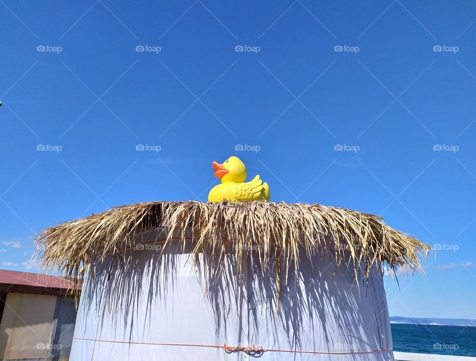 Funny Yellow Duck Decor on the Black Sea Coast
