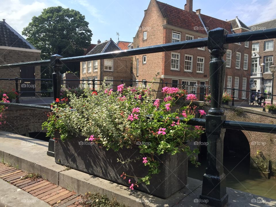 City View. Old part of Dordrecht