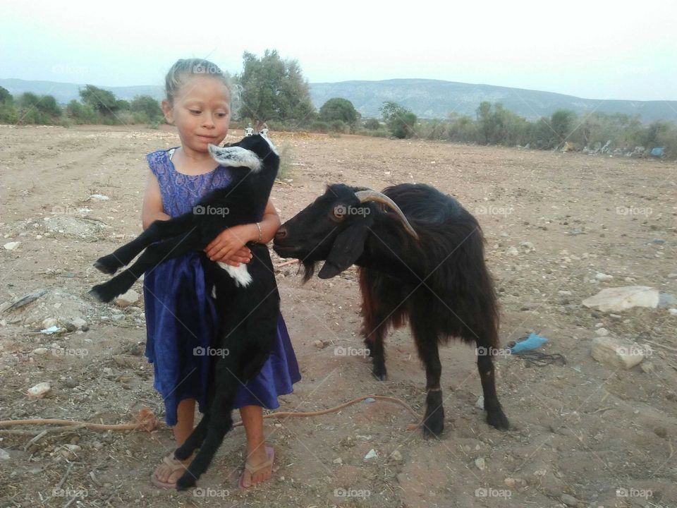 Beautiful girl holding a baby goat.