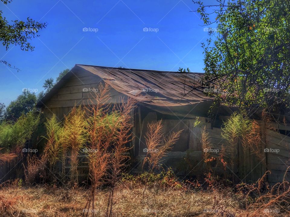 Old Barn At Midday 2