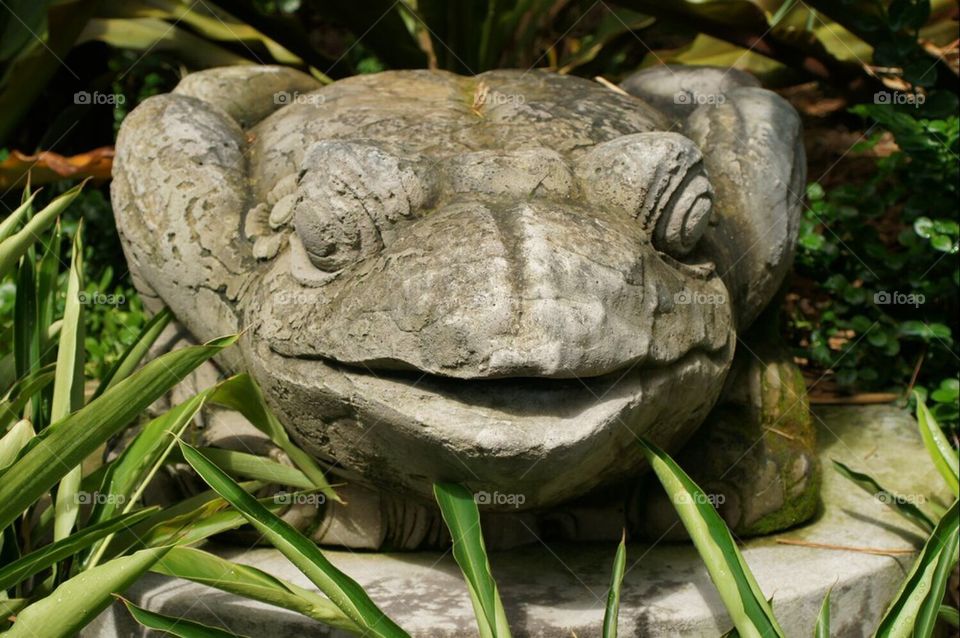 Frog statue