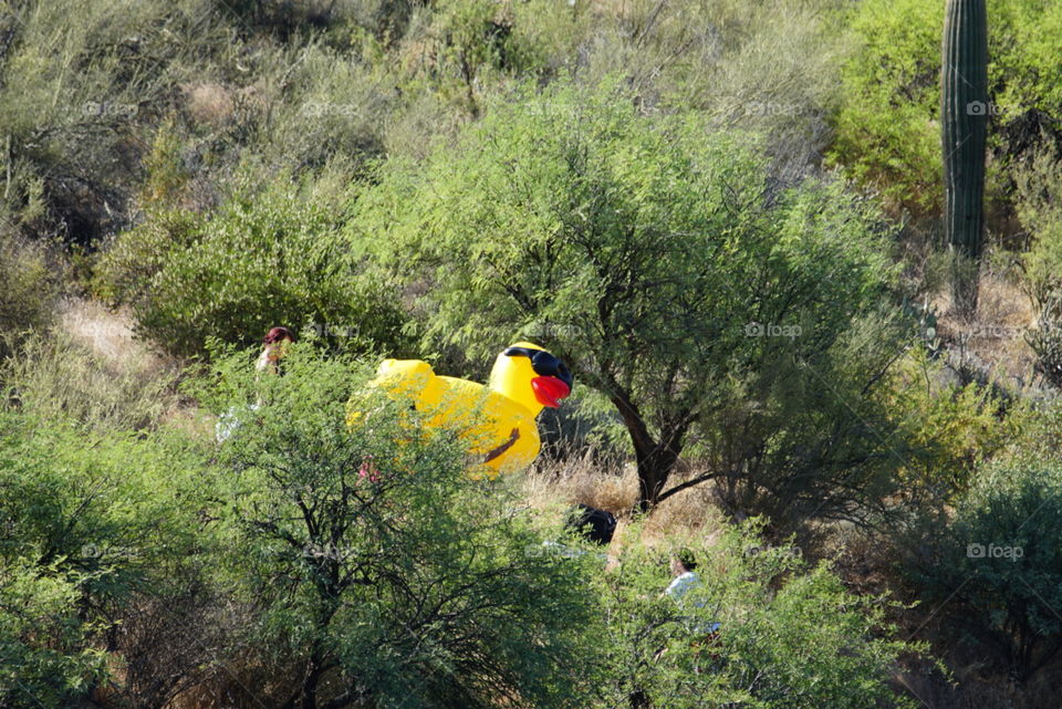 A huge inflatable rubber duck makes its way down a desert trail as it heads towards a lake.
