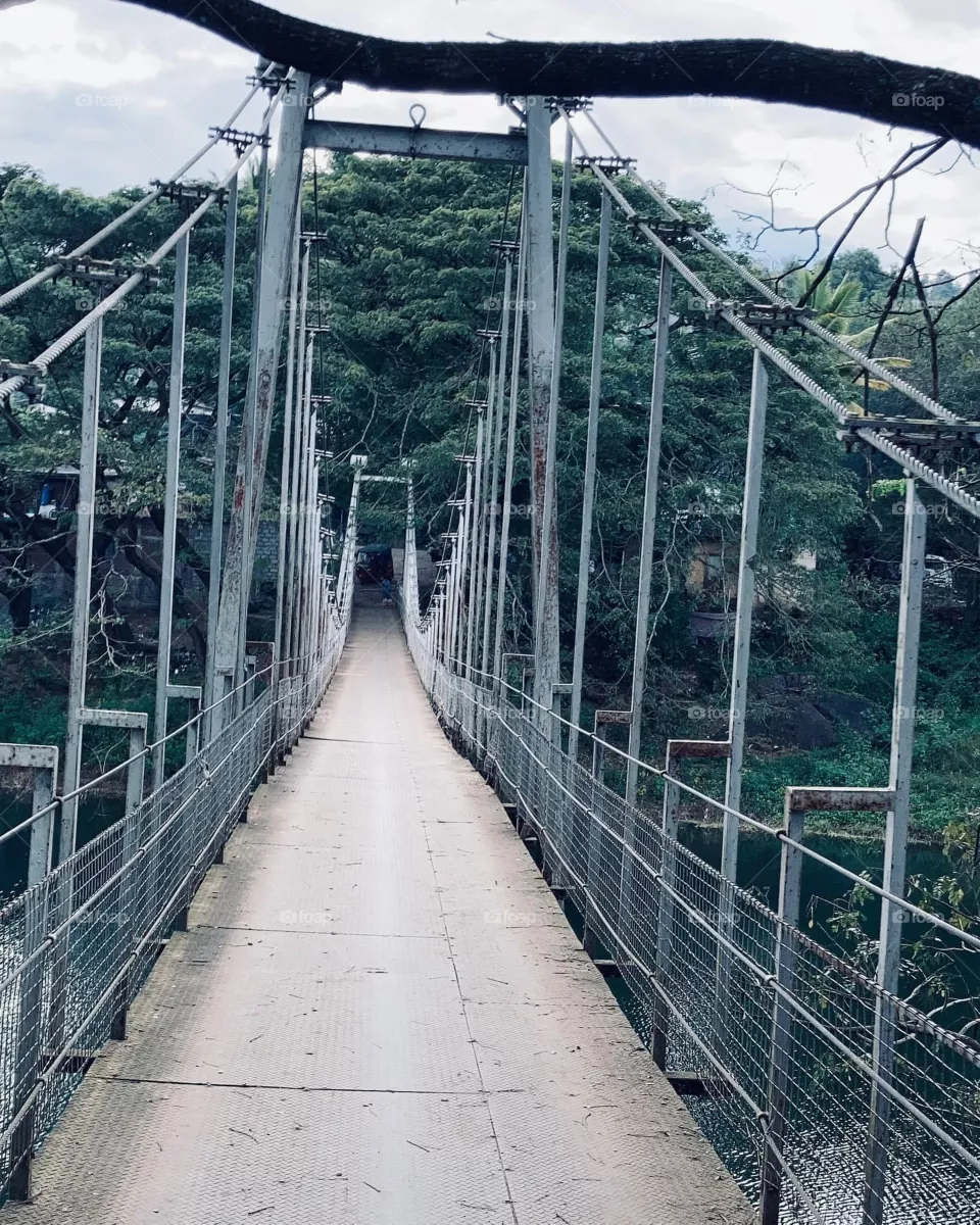 Bridge 