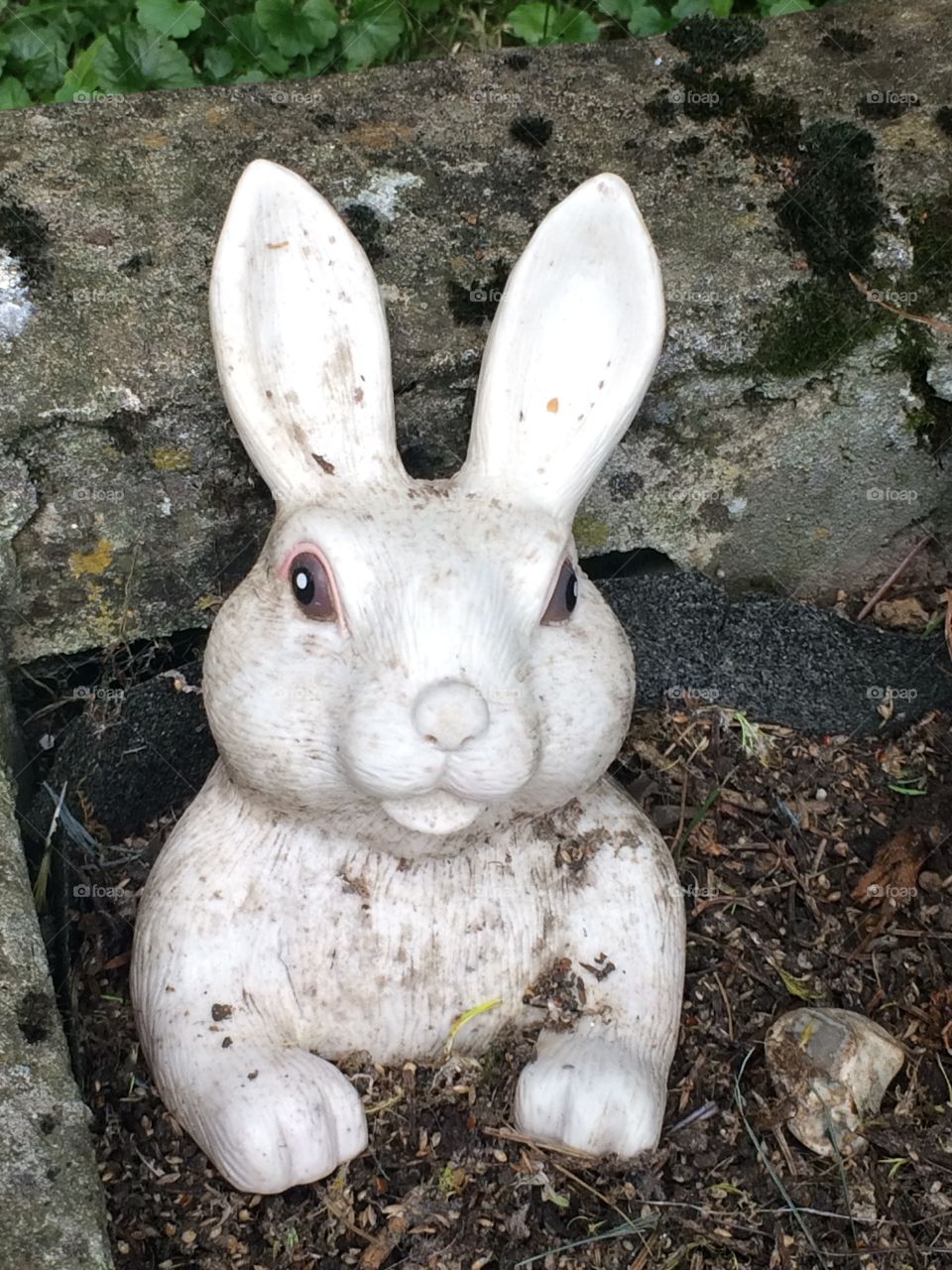 Garden rabbit ornament 