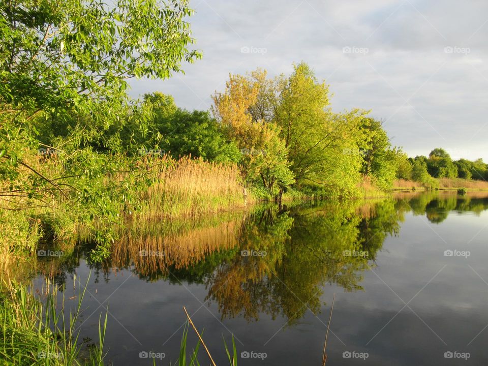 spring landscape, pond and trees around