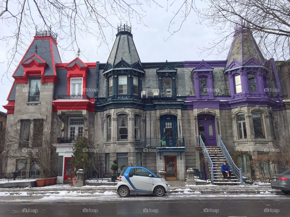 Montreal colors