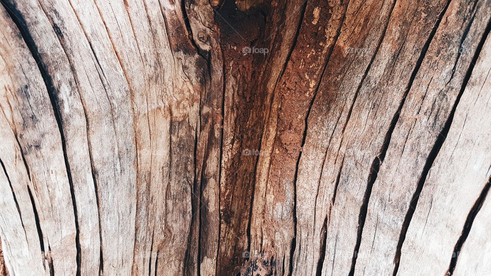 Full frame shot of old stump