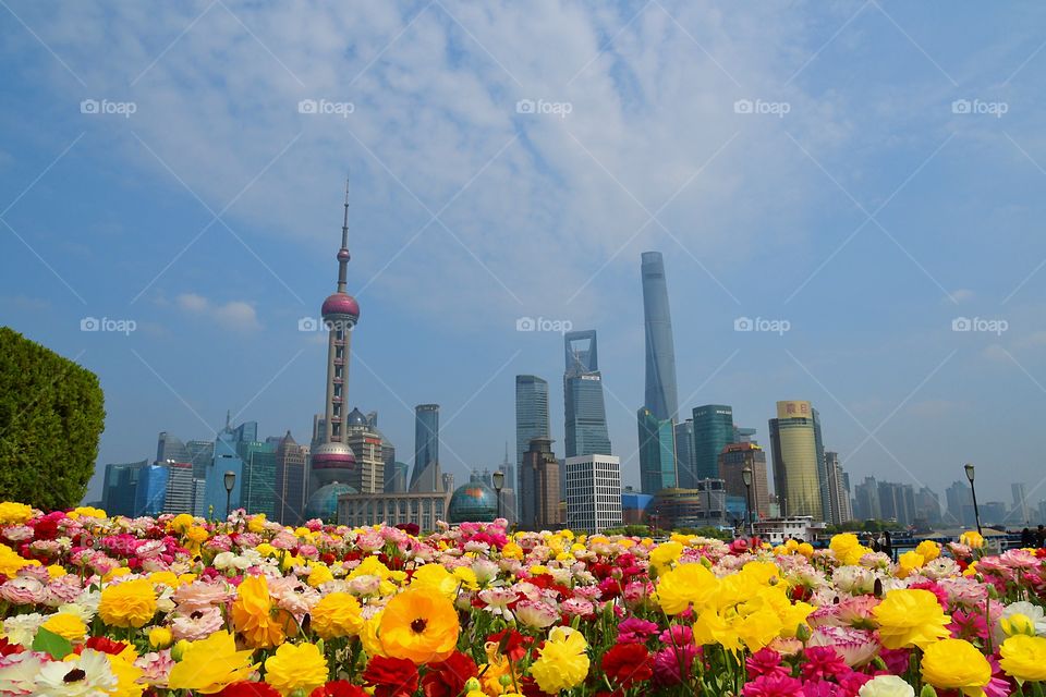 Shanghai, China 4/2/18 Vacation.  A Lake of flowers.