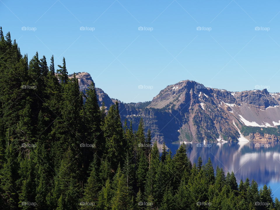 The rich blue waters of the deep Crater Lake in Southern Oregon with fir trees on the jagged rim on a beautiful sunny summer morning with clear blue skies. 