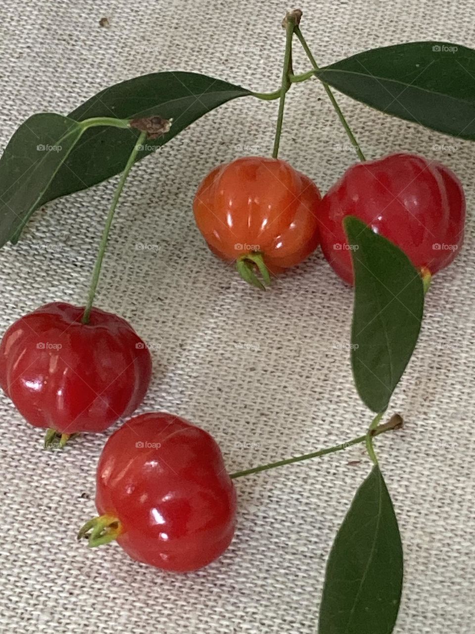 Frutas naturais vermelhas de pitanga. Frutas comestíveis com galhos e folhas.