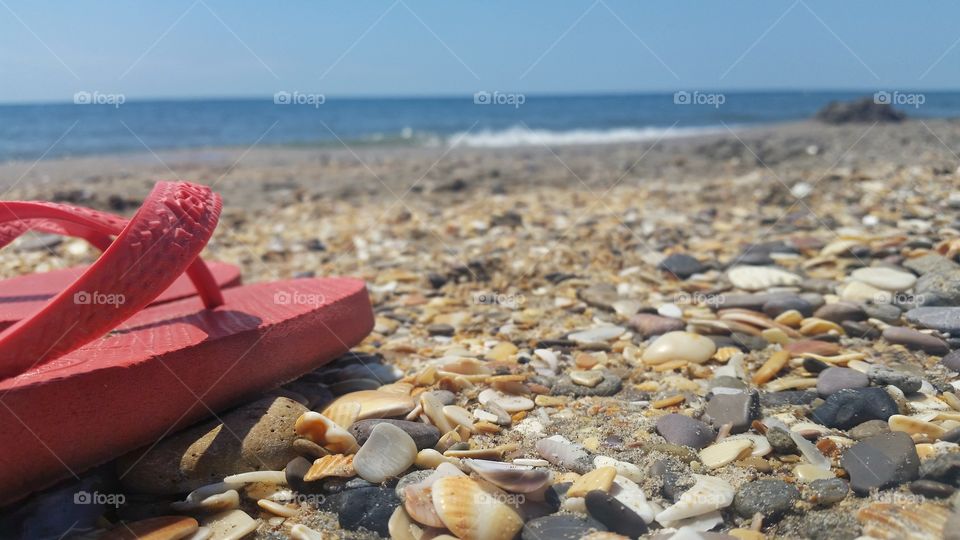 Sea shells and slippers