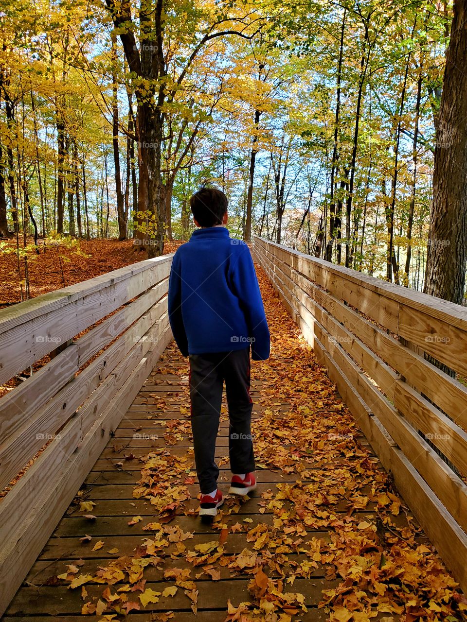 fall walk